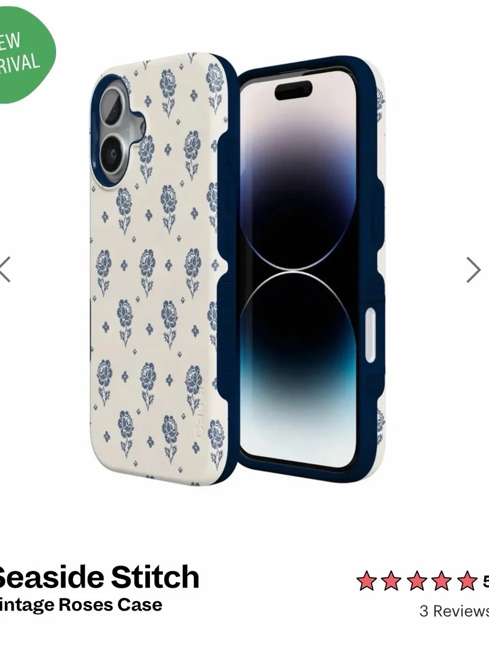 Seaside stitch vintage roses case (iPhone 17)